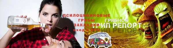 молекула духа Алексеевка