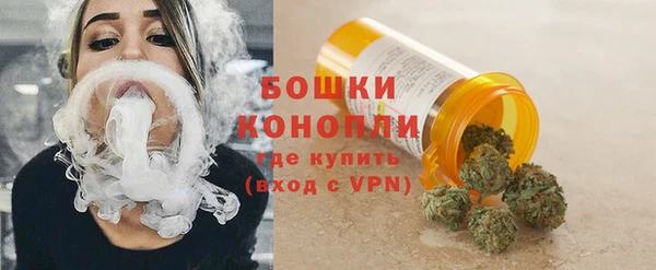 молекула духа Алексеевка