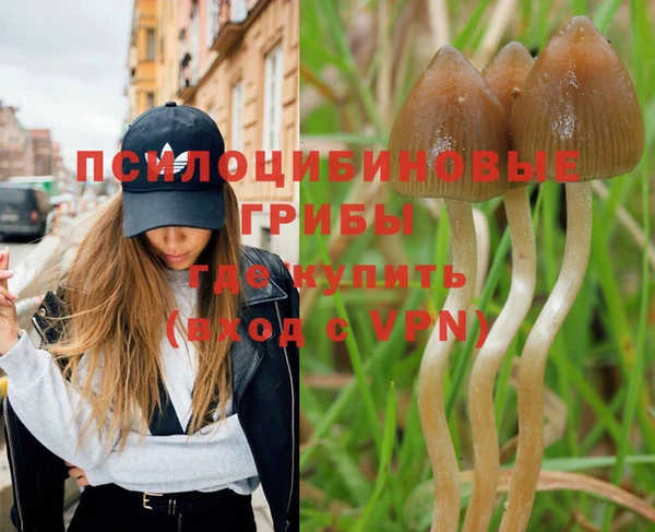 молекула духа Алексеевка