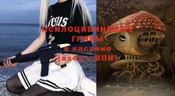 тгк Алзамай