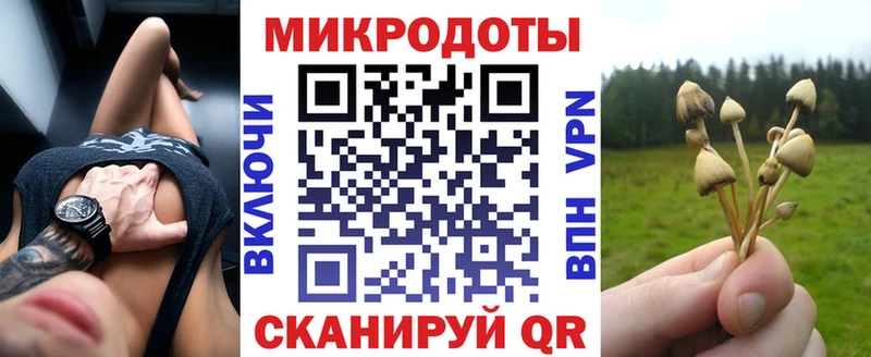купить закладку  Динская  Псилоцибиновые грибы мухоморы 